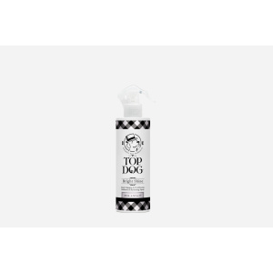 Bright Shine Spray 200ml