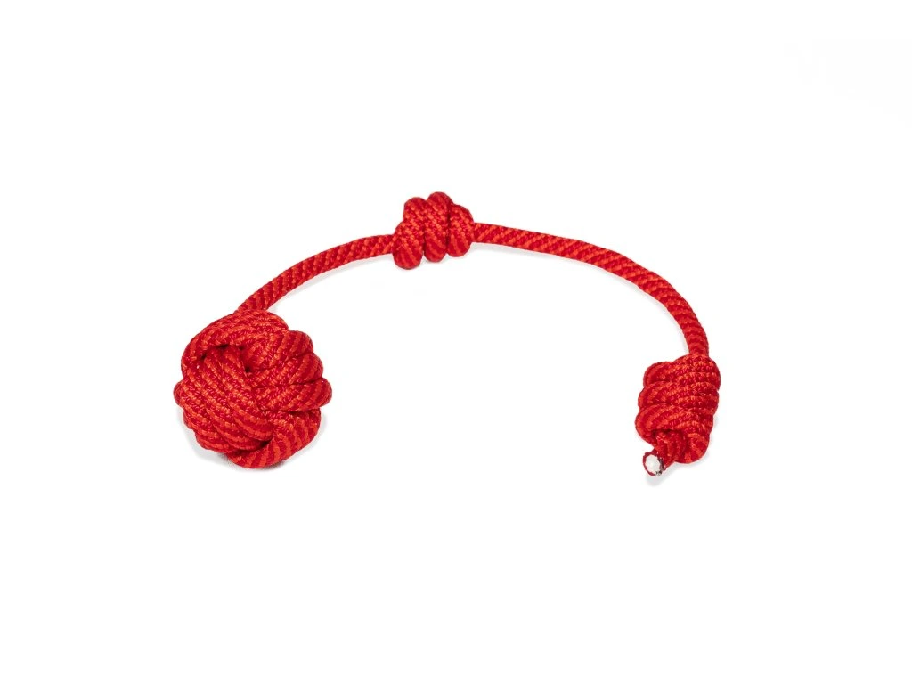 Tamer Apporteerspeelgoed  | Small | Rood